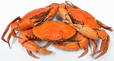 Chilled Crabs
